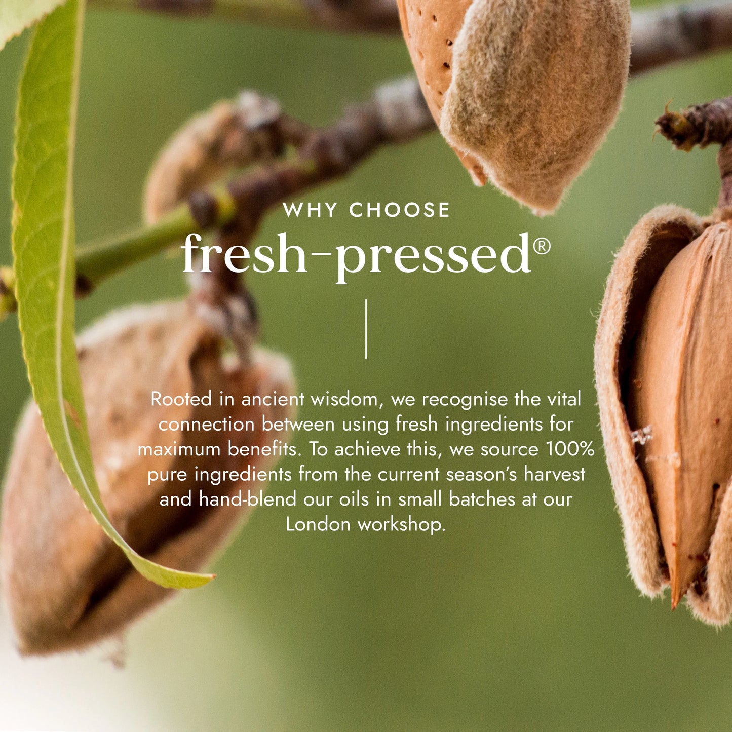 Fushi Organic Sweet Almond Oil - 100ml