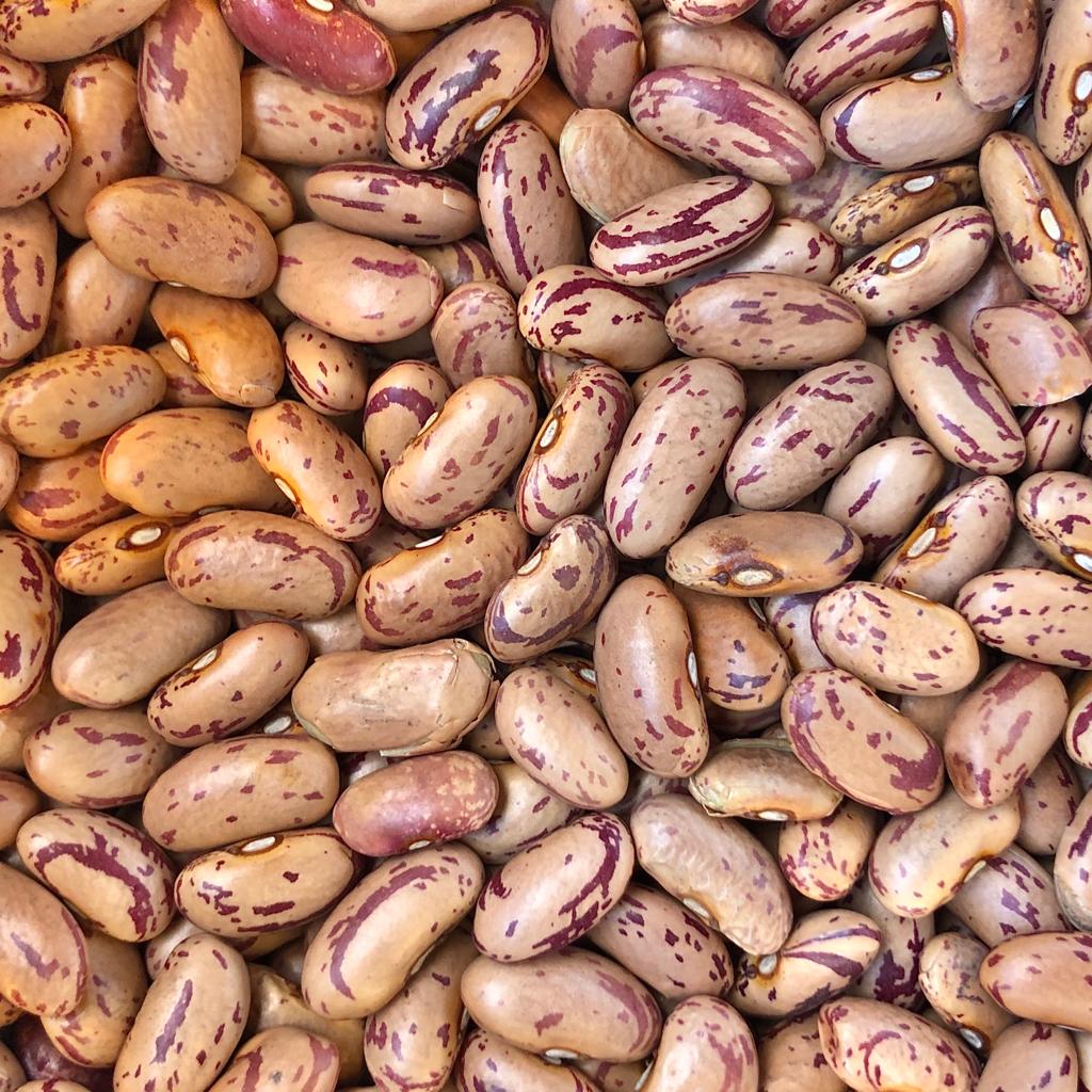 Borlotti Beans 100g