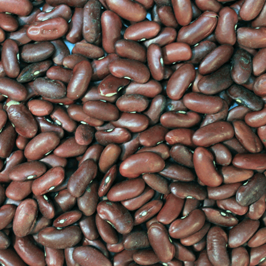 Red Kidney Beans