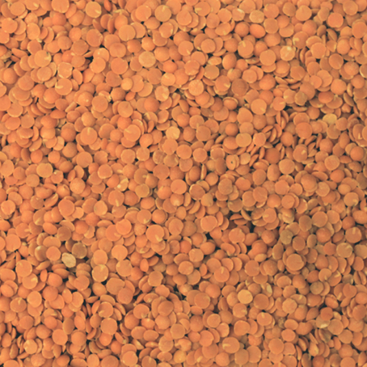 Organic Red Split Lentils - Bulk