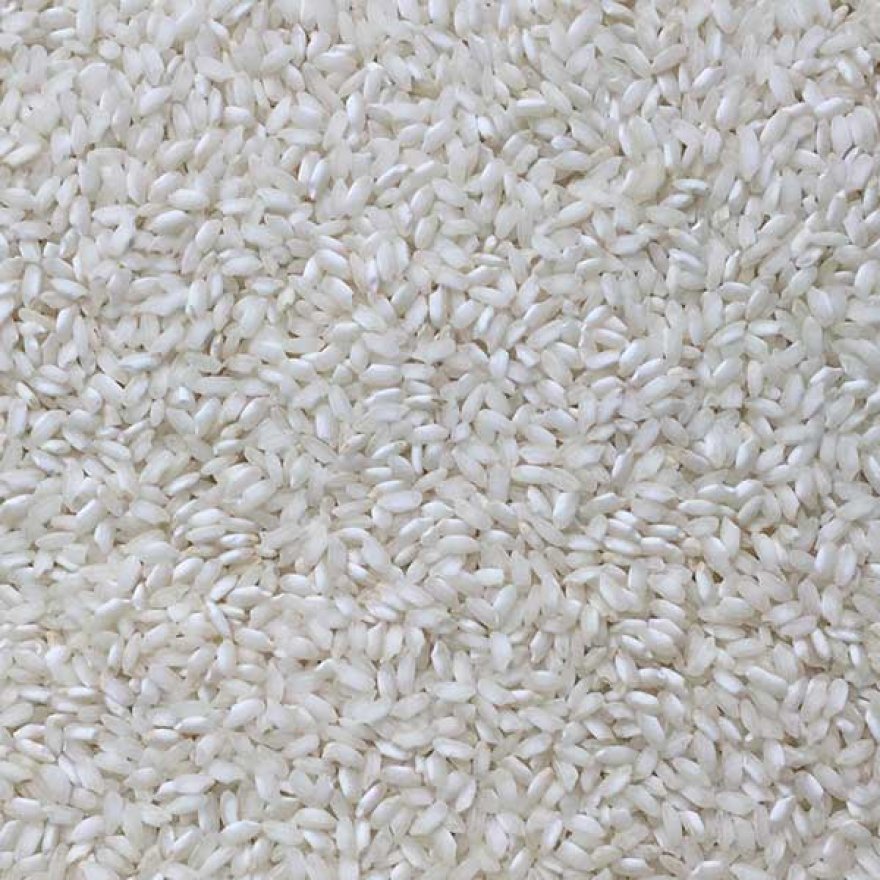 Arborio Rice 100g