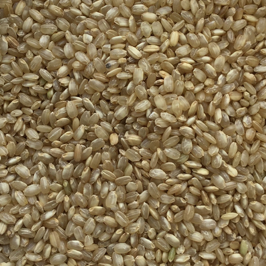 Organic Short Grain Brown Rice - Bulk
