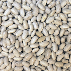 Cannellini Beans 100g