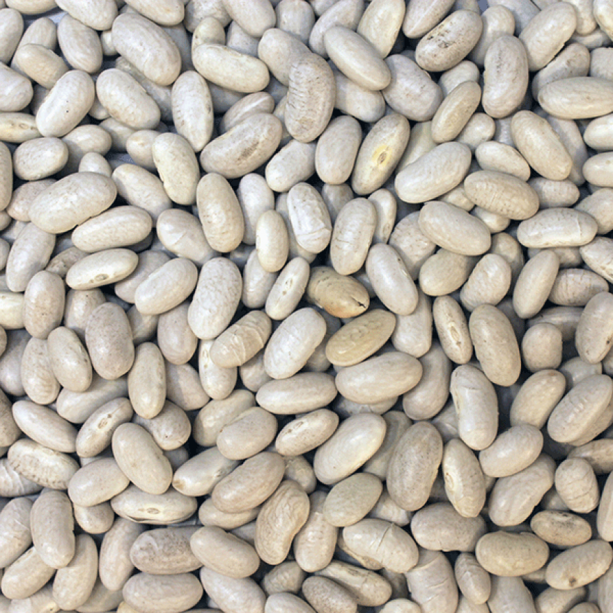 Cannellini Beans 100g