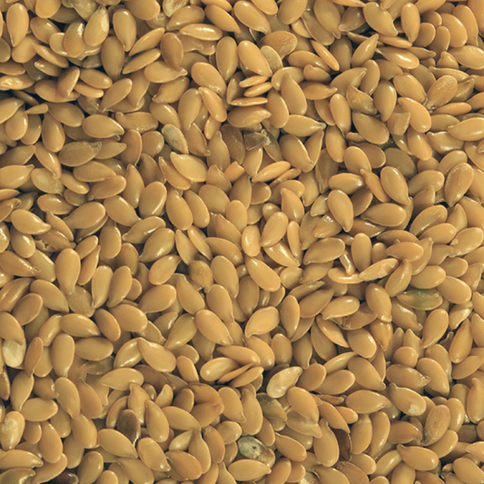 Organic Linseeds Gold - Bulk