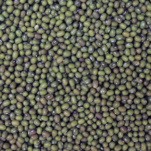 Mung Beans 100g