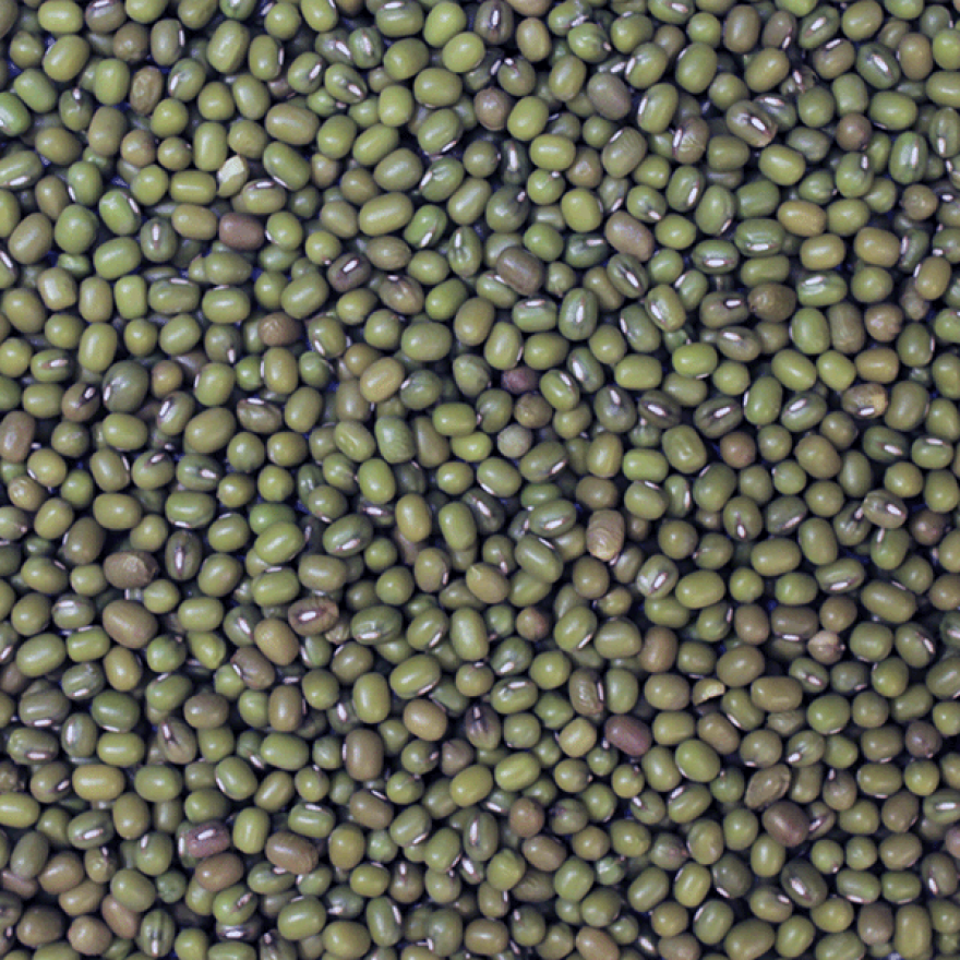 Mung Beans 100g