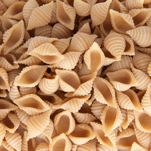 White Spelt Conchiglie - Pastificio Carleschi 100g