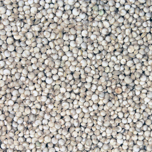 Organic Quinoa Grain - Bulk