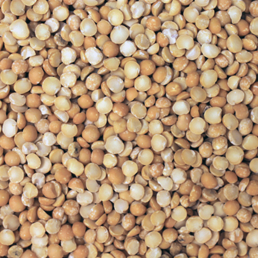 Yellow Split Peas 100g
