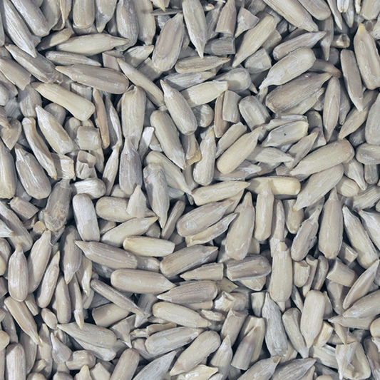 Organic Sunflower Seeds - Bulk