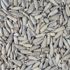 Sunflower Seeds